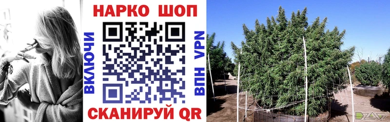 Все наркотики Старая Купавна Псилоцибиновые грибы МЕТАМФЕТАМИН APVP ГАШИШ Меф Кокаин Каннабис
