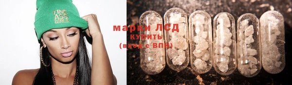 стафф Баксан