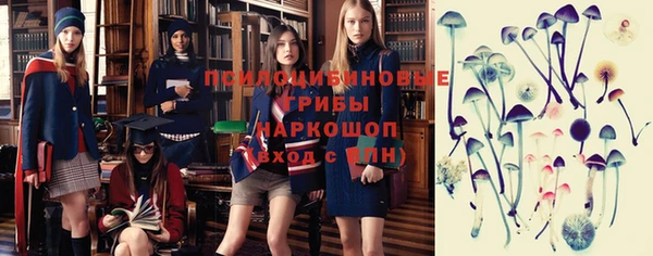 стафф Баксан